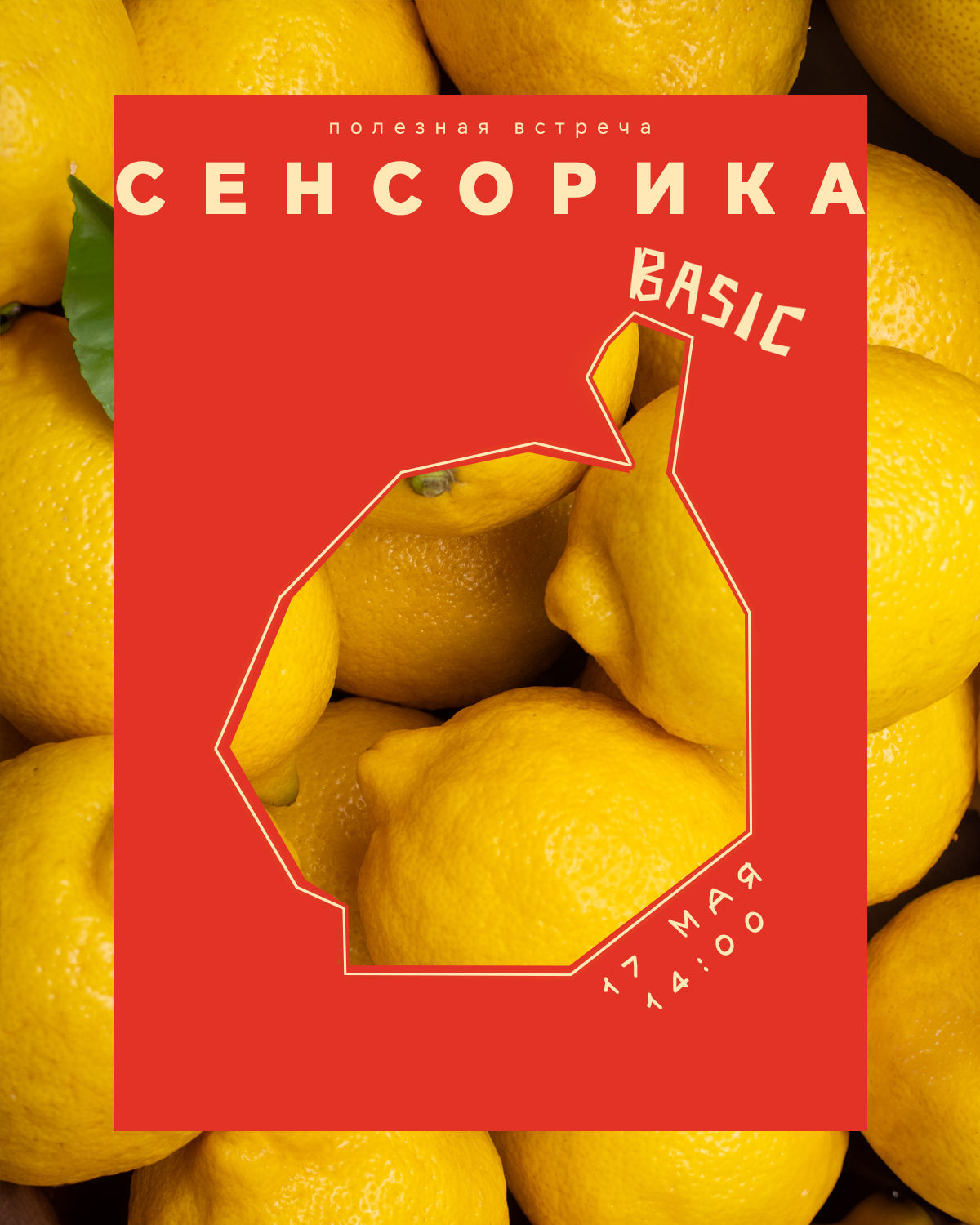 СЕНСОРИКА BASIC